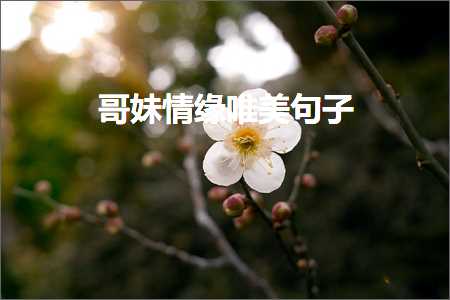 唯美意境樱花古风句子图片（文案596条）